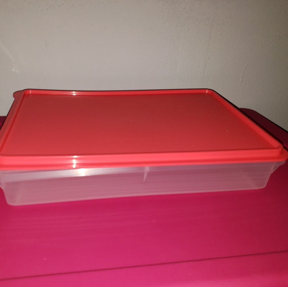 Tupperware       "Snack-Stor big "